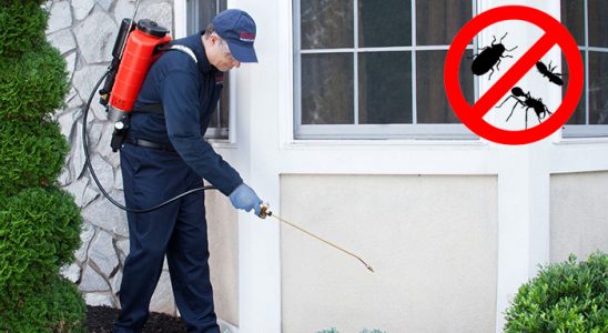 Kıbrıscık Böcek ve Haşere İlaçlama böcek ilaçlama ve haşere kontrolü — ilaclama-tr.com